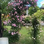 Apartamento Aperegina