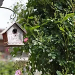 Apartamento Aperegina
