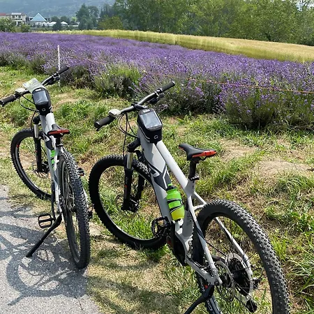 דירה Aperegina *