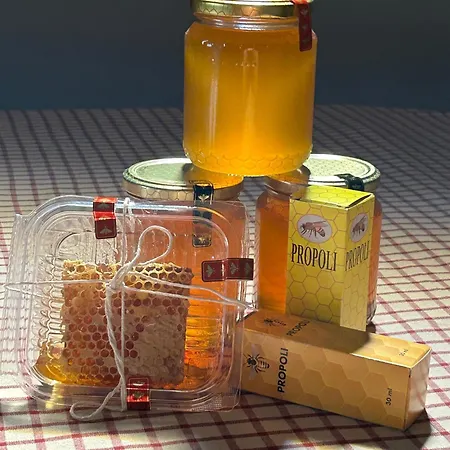 Aperegina Castellinaldo