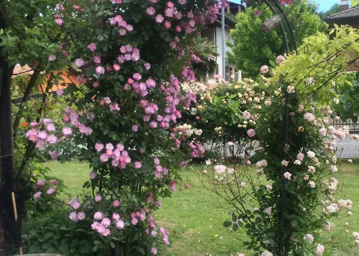 Apartament Aperegina